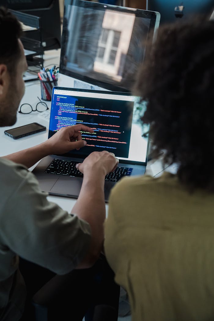 ShinyMount Software - developer resource outsourcing